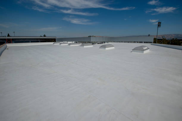 Best Hot Roofs  in Percy, IL