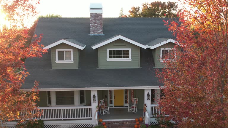 Best Roof Maintenance and Cleaning  in Percy, IL