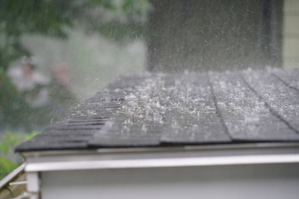 Best Emergency Roof Repair Services  in Percy, IL