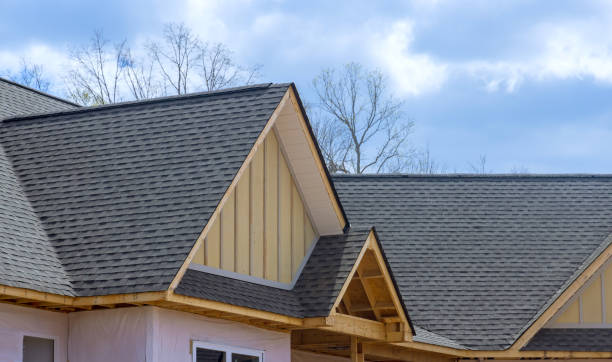 Best Metal Roofing Installation  in Percy, IL