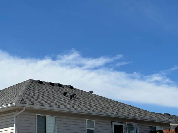 Best Slate Roofing  in Percy, IL